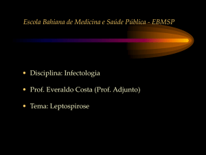 EBMSP – Disciplina de Infectologia Prof. Everaldo
