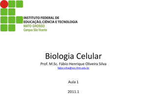 célula procariota - Professor Fabio Henrique Silva