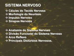 Apresenta&ccedil;&atilde;o do PowerPoint