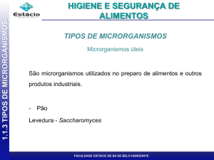 Slide 1 - gastronomia