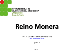 Reino Monera Prof. M.Sc. Fábio Henrique Oliveira Silva fabio.silva