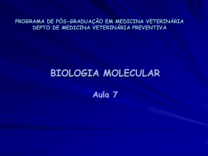 Aula 7-2012 - Setor de Virologia UFSM