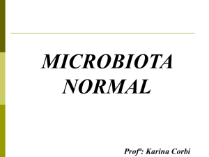 microbiota normal