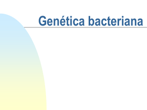 Genetica bacteriana 1 - ICB-USP