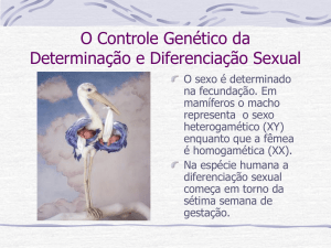 O Controle Genética da Determinação e Diferenciação Sexual