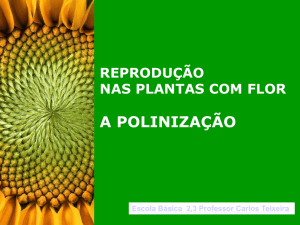 plantas_reproducao