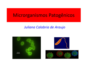 Microrganismos Patogênicos