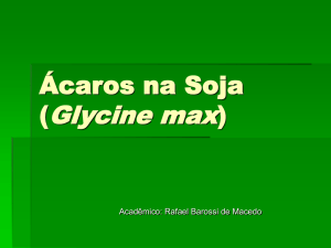 Acaros na Soja (Glycine max)