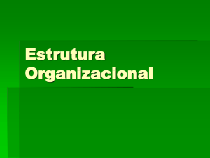 Estrutura Organizacional PPT
