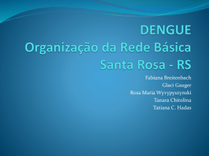 Apresentação Organização da Assintência em Dengue em Santa