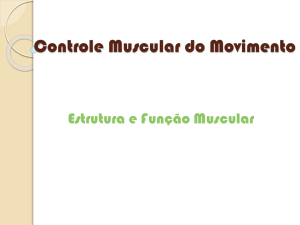 Controle Muscular do Movimento