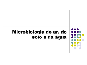 Microbiologia do solo