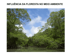 a influência das florestas na umidade relativa do ar