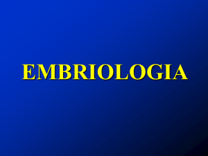 EMBRIOLOGIA Prof. Bermudes