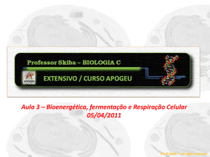 2 - Curso Apogeu