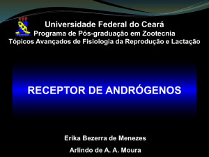 Slide 1 - Universidade Federal do Ceará
