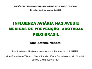 Dr. Ariel Antônio Mendes