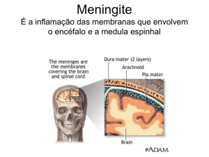 Encefalites virais – definições