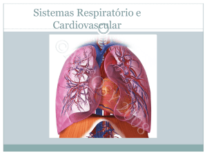 Sistemas Respiratório II