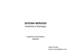 Slide 1 - N&uacute;cleo de Engenharia Biom&eacute;dica do IST