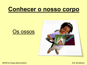 O que s&atilde;o ossos? - Portal de escolas da Madeira