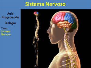 Slide 1 - Col&eacute;gio Machado de Assis