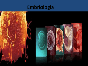 Embriologia - Educacional
