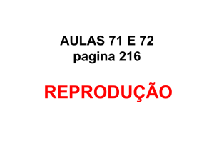 aulas 71 e 72 - seletivo.tupa.com.br