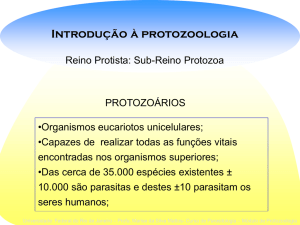 Introdução à Protozoologia