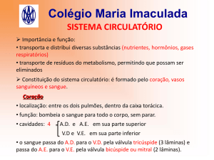 sistema linfático - Colégio Maria Imaculada
