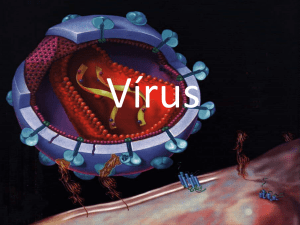 Vírus - WebLiessin