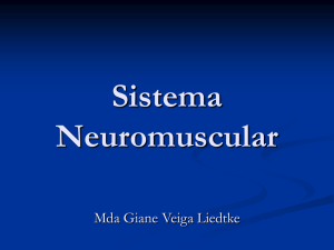 Sistema Neuromuscular II – C/ Giane.
