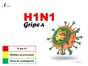 Gripe A (H1N1) Dois gestos de protecção!