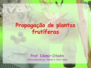 Propagação de plantas frutíferas