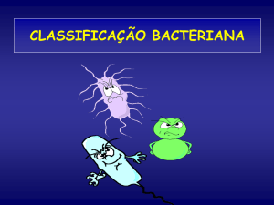 Classificação Bacteriana – 2011
