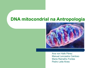 DNA mitocondrial na Antropologia