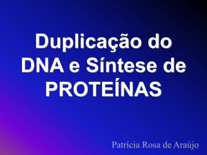 Duplicação do DNA e Síntese de Proteínas