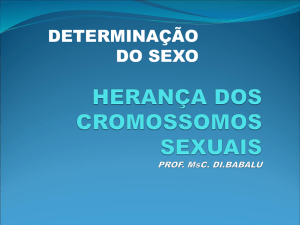 HERANCA DOS CROMOSSOMOS SEXUAIS