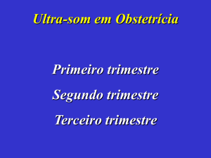 Ultra-som no Primeiro Trimestre