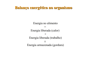 aula_de_gasto_calorico_e_exercicio_e_teste_funcional