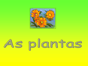 As_partes_de_uma_planta