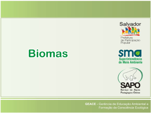 biomas - So aulas