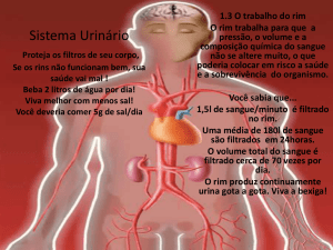 Sistema Urinário Proteja os filtros de seu corpo, Se os rins não