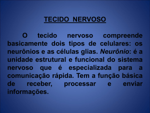aula de neuro 2222 (1ª aula).
