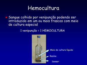 hemoculturas - Google Groups