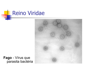 Vírus EBOLA