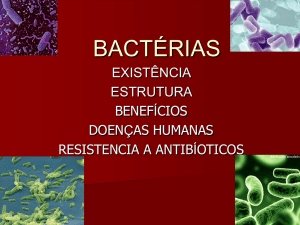 bactérias - Educacional
