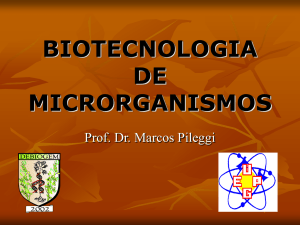 Microbiologia e Alimentos