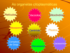 Célula e Organelas - 21 slides