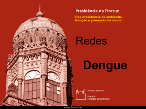 Slide 1 - Rede Dengue